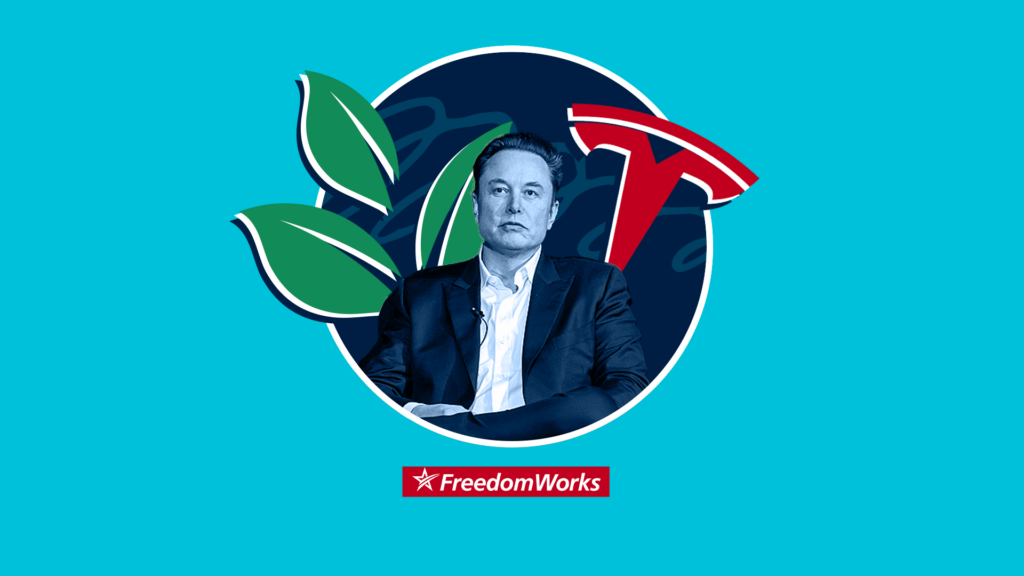 Green leaves and Tesla logo behind Elon Musk