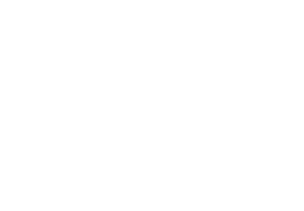 Inside the Story